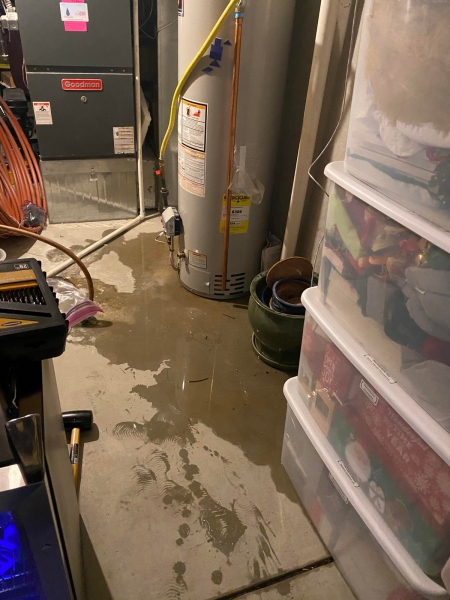 Бывают в жизни огорчения (20.01.21)22