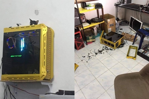 Бывают в жизни огорчения (20.01.21)14