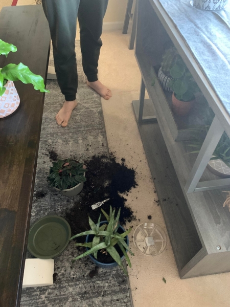 Бывают в жизни огорчения (20.01.21)7