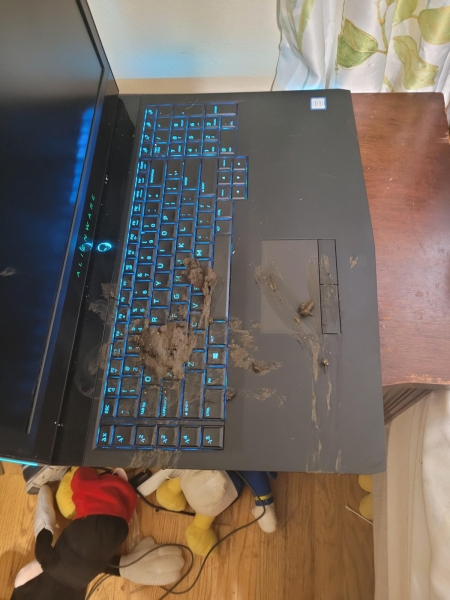 Бывают в жизни огорчения (20.01.21)20