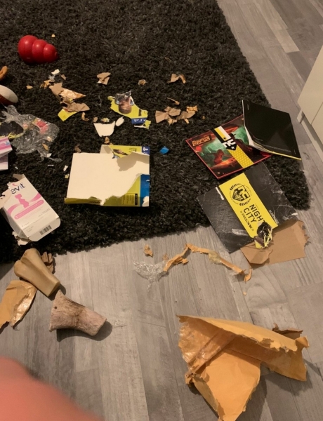 Бывают в жизни огорчения (20.01.21)30