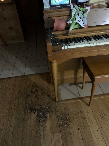 Бывают в жизни огорчения (27.01.21)6