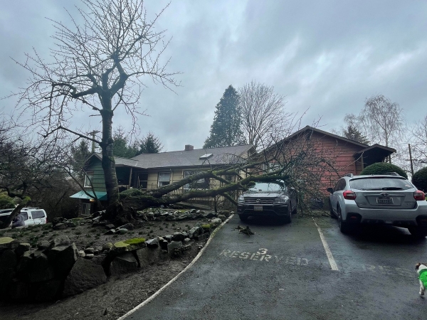 Бывают в жизни огорчения (27.01.21)37