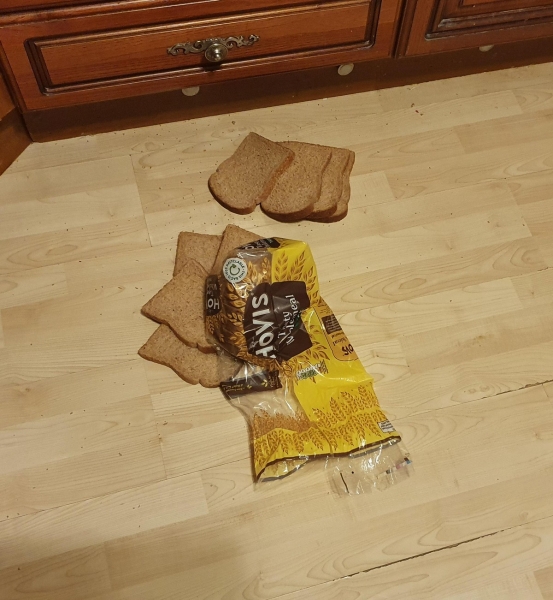 Бывают в жизни огорчения (27.01.21)24