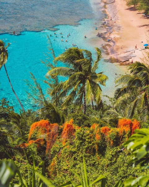 Гавайи на аэрофотоснимках Джесс Лойтертон9