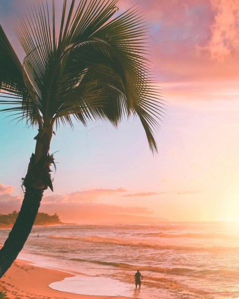 Гавайи на аэрофотоснимках Джесс Лойтертон8