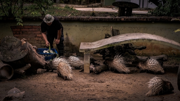 Интересные фото из Малайзии2