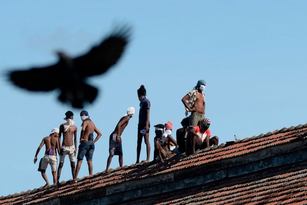 Интересные снимки из Шри-Ланки10