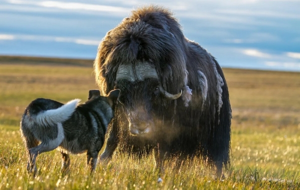 Подборка интересных и веселых картинок 20.01.2115