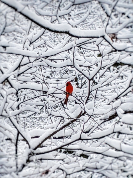 Подборка интересных и веселых картинок 20.01.2128