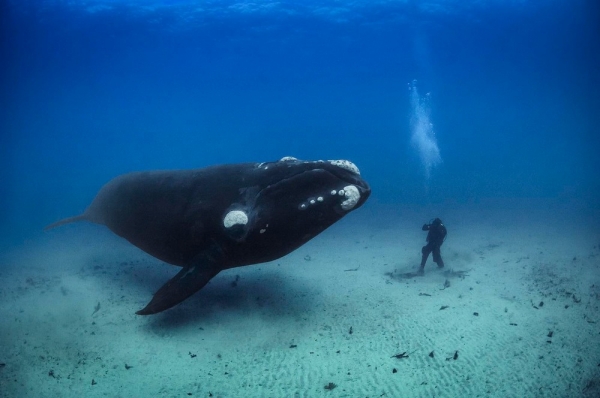 Подборка интересных и веселых картинок 20.01.212