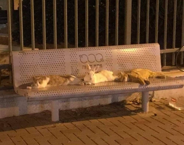 Подборка интересных и веселых картинок 20.01.218