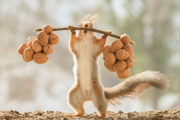 Подборка интересных и веселых картинок 20.01.2124