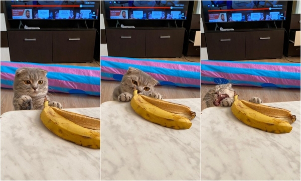 Подборка интересных и веселых картинок 20.01.211