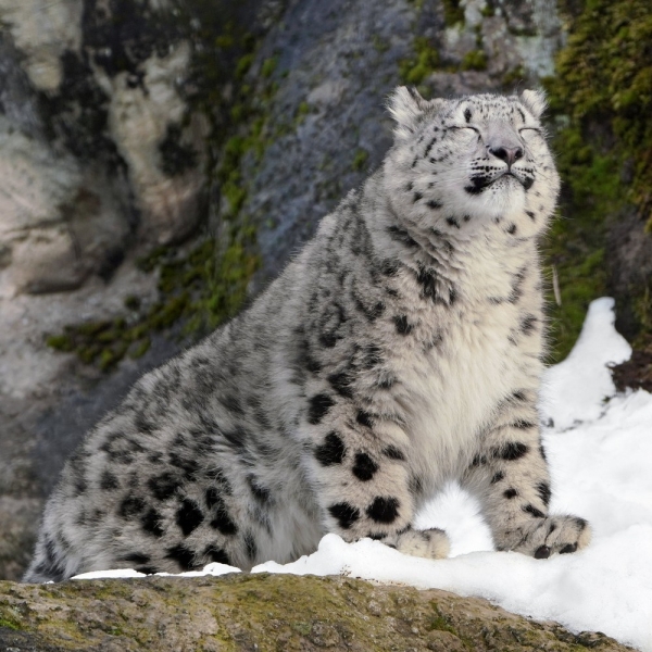 Подборка интересных и веселых картинок 26.01.2120