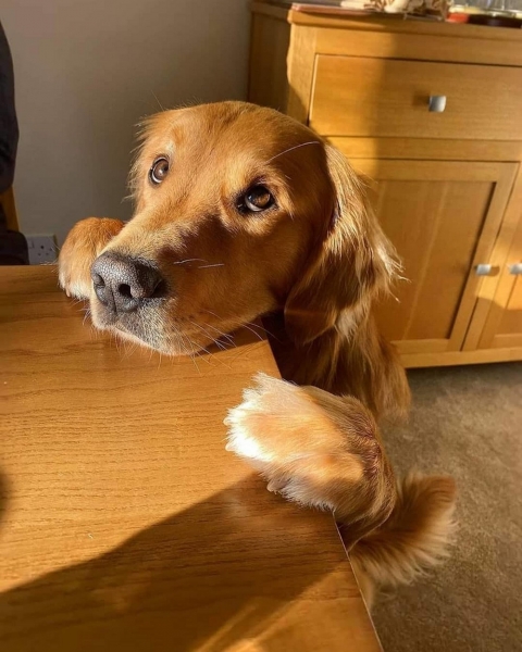 Подборка интересных и веселых картинок 26.01.2116