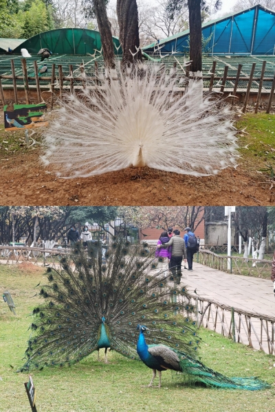 Подборка интересных и веселых картинок 26.01.2138