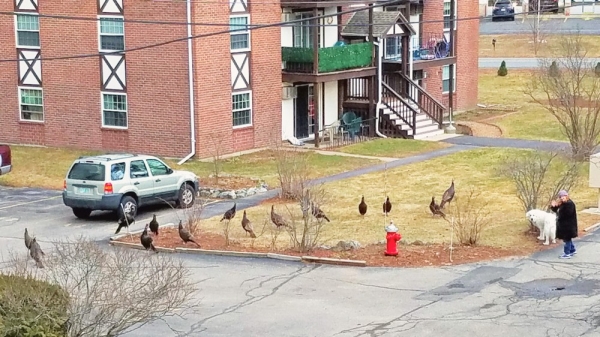 Подборка интересных и веселых картинок 26.01.216
