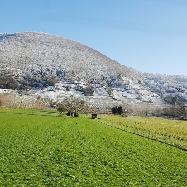 Подборка интересных и веселых картинок 26.01.2124