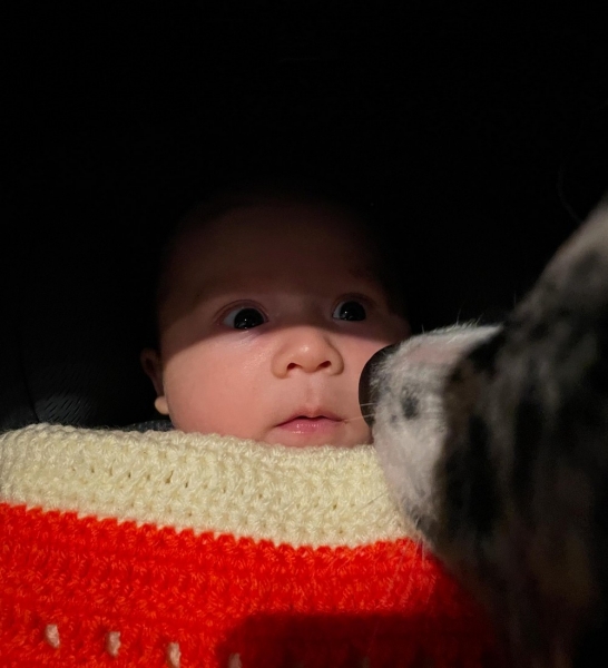 Подборка интересных и веселых картинок 26.01.212