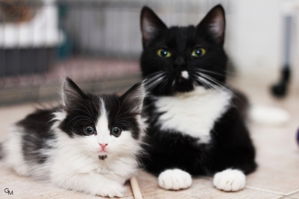 Подборка интересных и веселых картинок 26.01.2111