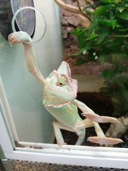 Подборка интересных и веселых картинок 27.01.2133