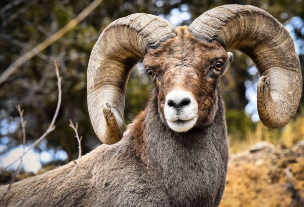 Подборка интересных и веселых картинок 27.01.2135