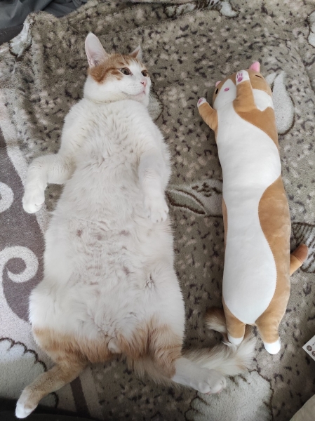 Подборка интересных и веселых картинок 27.01.2112