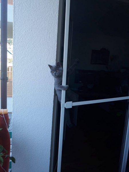 Подборка интересных и веселых картинок 27.01.2124