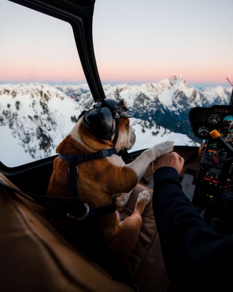 Подборка интересных и веселых картинок 27.01.2130