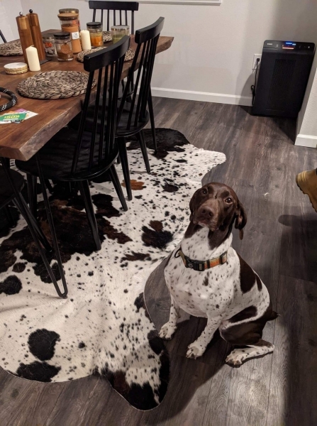 Подборка интересных и веселых картинок 27.01.2114