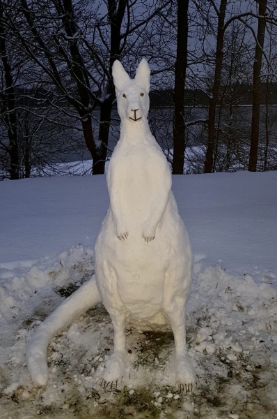 Подборка интересных и веселых картинок 27.01.2116
