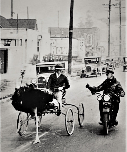 Подборка интересных и веселых картинок 27.01.219