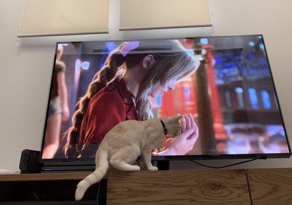 Подборка интересных и веселых картинок 27.01.210