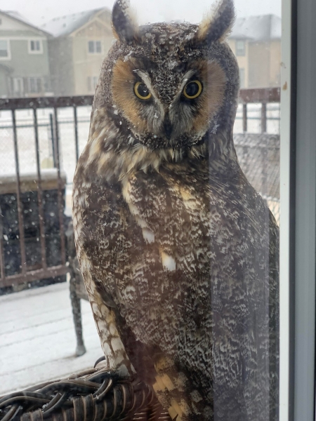 Подборка интересных и веселых картинок 27.01.2127