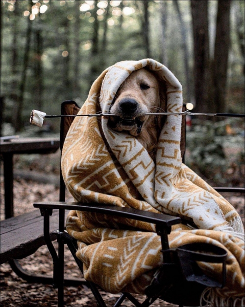 Подборка интересных и веселых картинок 30.01.2130