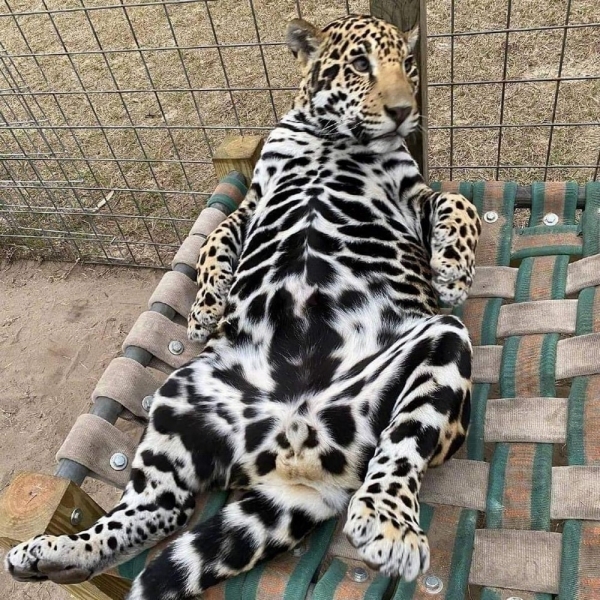 Подборка интересных и веселых картинок 30.01.217