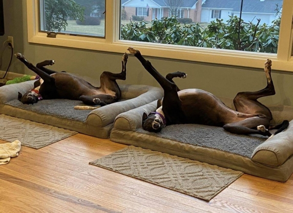 Подборка интересных и веселых картинок 30.01.2133