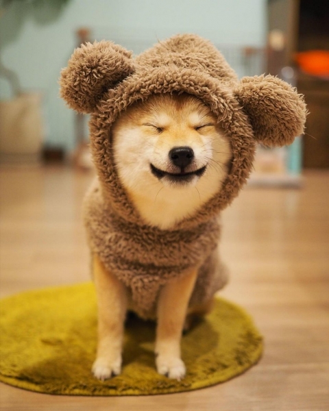 Подборка интересных и веселых картинок 30.01.213