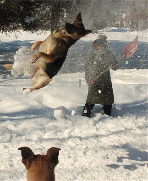 Подборка интересных и веселых картинок 30.01.2119