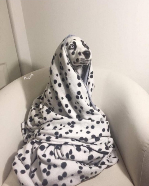 Подборка интересных и веселых картинок 30.01.219