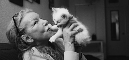 бабушка с котенком
