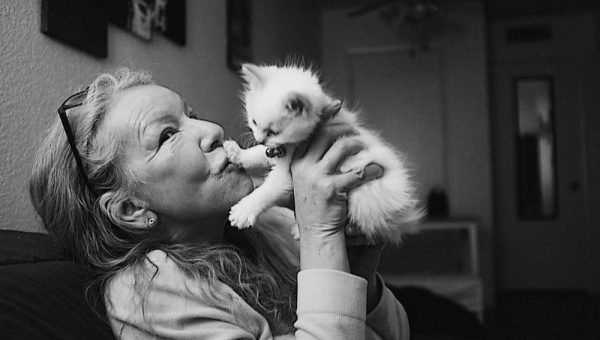 бабушка с котенком