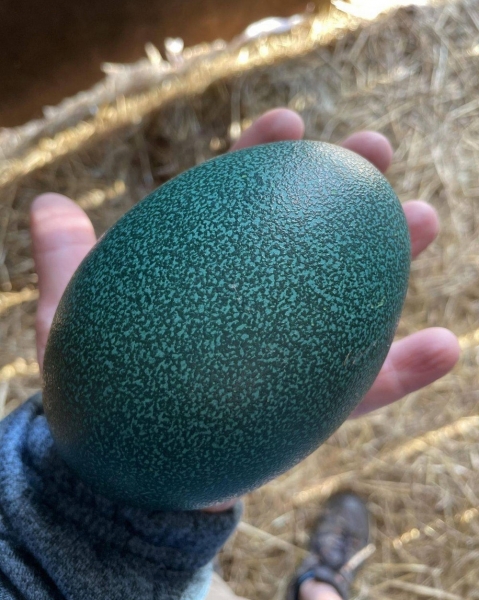 Подборка интересных и веселых картинок 30.01.2127