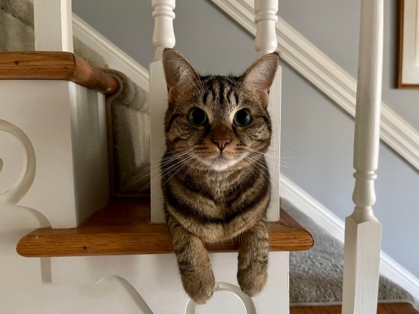 С добрым утром!5