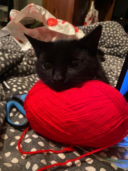 С добрым утром!13