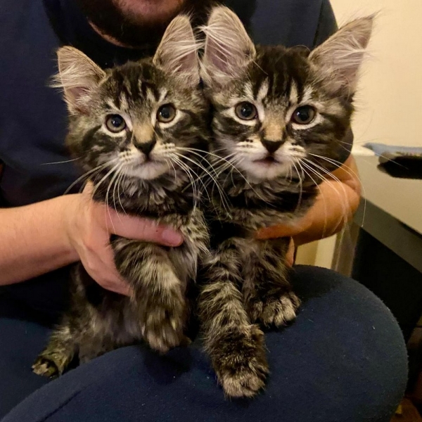 С добрым утром!6