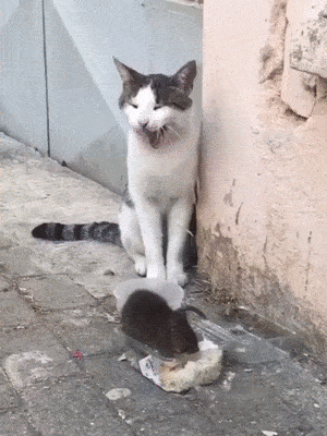 С добрым утром!21