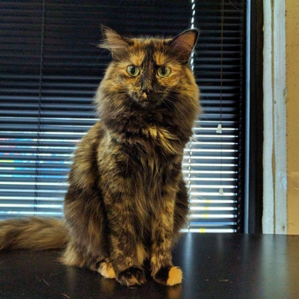 С добрым утром!16