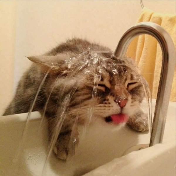 С добрым утром!7